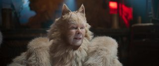 Cats still 8