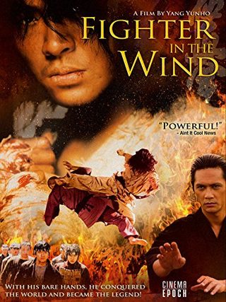 Fighter in the Wind still 1