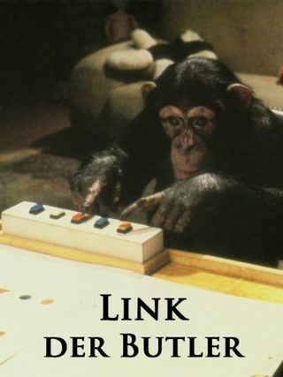 Link still 1