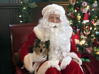Christmas by Chance still 7