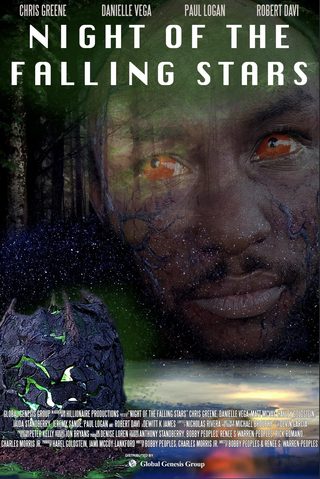 Night of the Falling Stars still 3