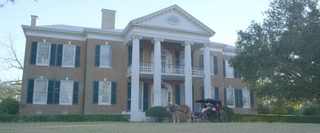 Jones Plantation still 7