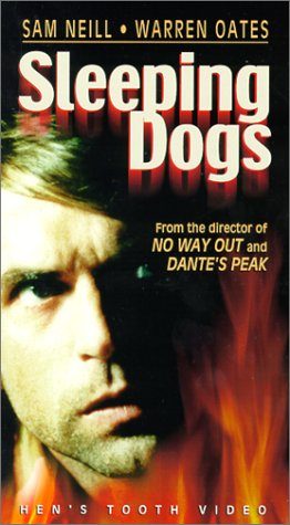 Sleeping Dogs still 1