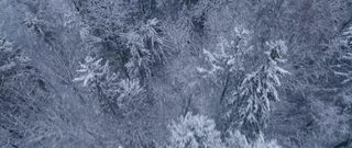 Christmas Break-In still 5