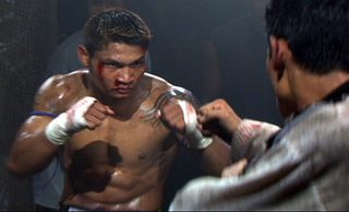 Honor still 1