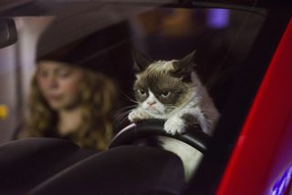 Grumpy Cat's Worst Christmas Ever still 7