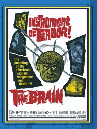 The Brain still 1