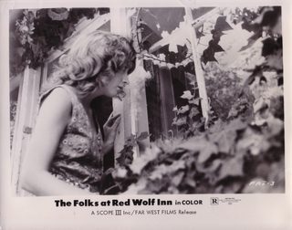 Terror at Red Wolf Inn still 8