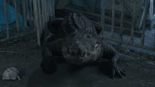 Crocodile Vengeance still 2
