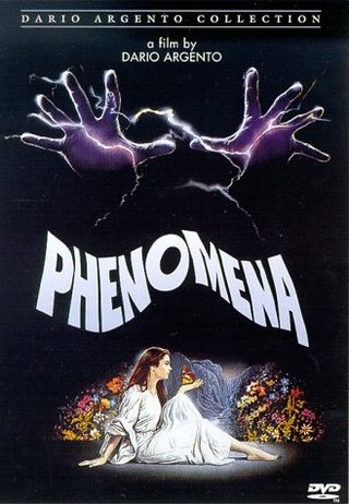 Phenomena still 1