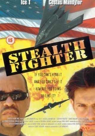 Stealth Fighter still 2