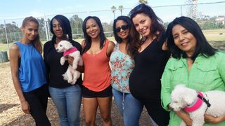Dog Park still 4