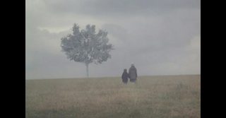 Landscape in the Mist still 7