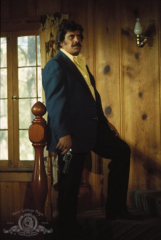 Mr. Majestyk still 3