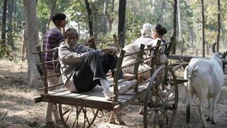 Jhund still 8