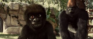 Snowflake, the White Gorilla still 7