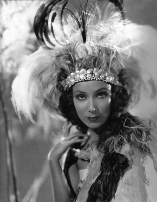 Bird of Paradise still 7