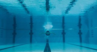 Mammal still 1