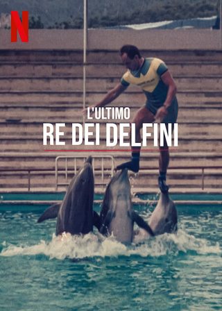 The Last Dolphin King still 2