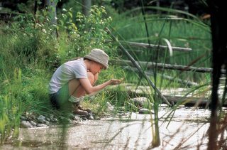Fly Away Home still 4