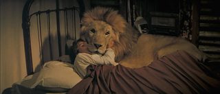 Roar still 4