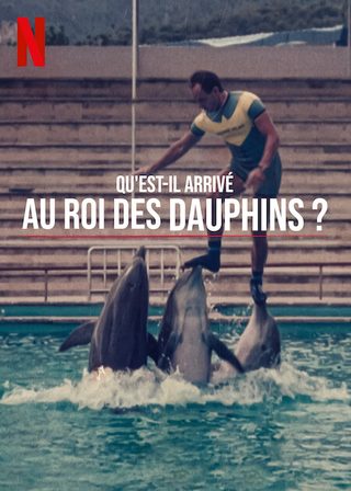 The Last Dolphin King still 7