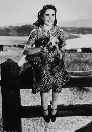 National Velvet still 7