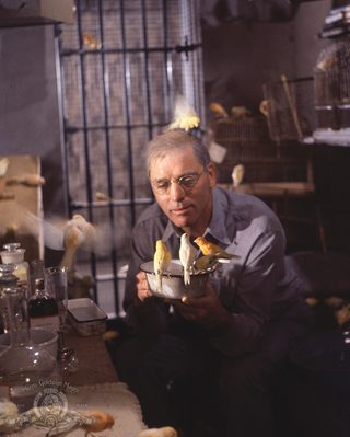 Birdman of Alcatraz still 8