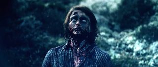 Wither still 3