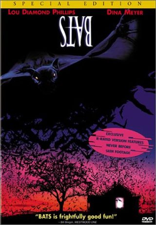 Bats still 6