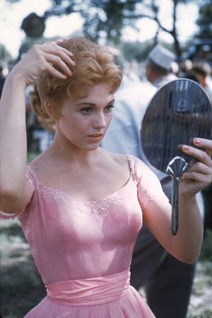 Picnic still 3