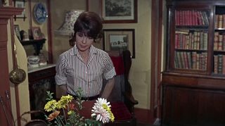 The Deadly Bees still 5