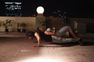Boxer still 5