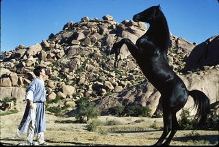 The Black Stallion Returns still 5