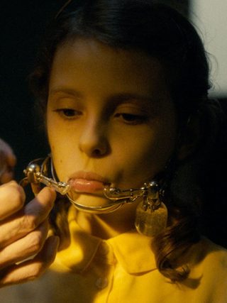 Earwig still 8