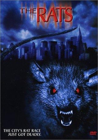 The Rats still 3