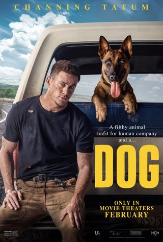 Dog still 3