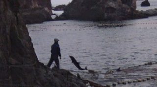 The Cove still 5