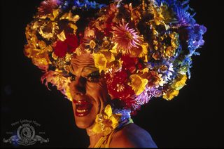 The Adventures of Priscilla, Queen of the Desert still 5