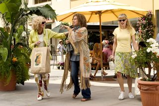 Meet the Fockers still 5