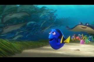 Finding Dory still 6