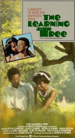 The Learning Tree still 2