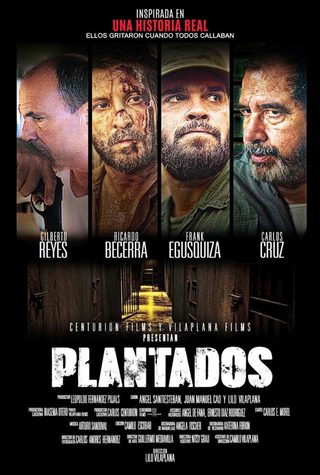 Plantados still 3
