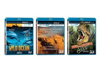 Wild Ocean still 1