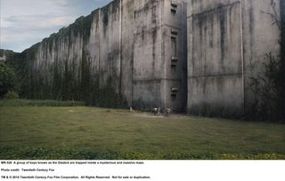 The Maze Runner still 8