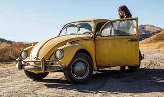 Bumblebee still 4