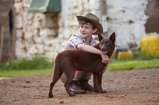 Red Dog: True Blue still 8