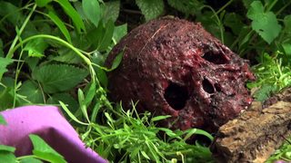 Pestilenz still 5