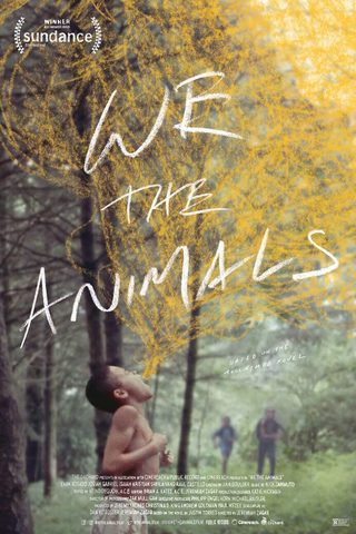 We the Animals still 2