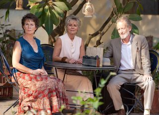 The Best Exotic Marigold Hotel still 3